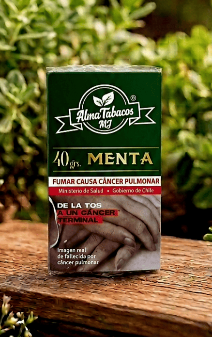 Menta